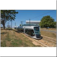 2019-08-02 T1 Crous 1015 01.jpg